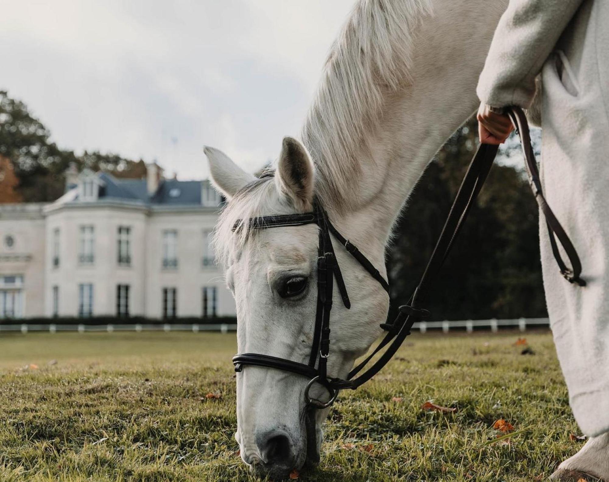 Demeures de Campagne Gîtes de Maffliers Extérieur photo